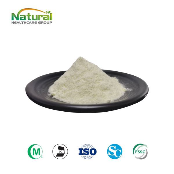 ナットウキナーゼパウダー